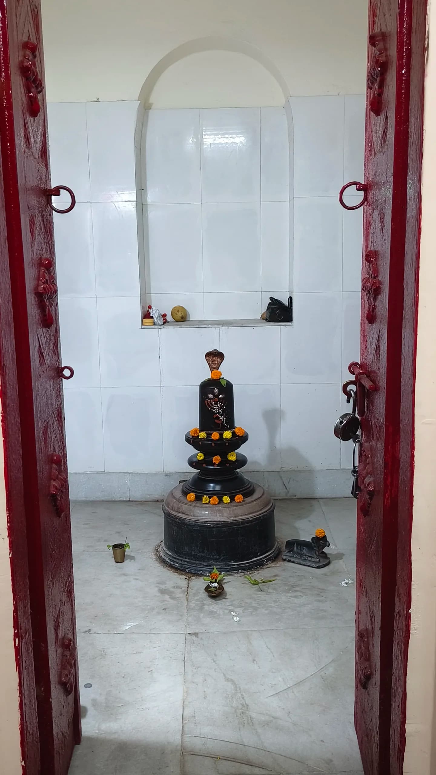 Why is Shiva worshipped as a Lingam while other gods have idols?