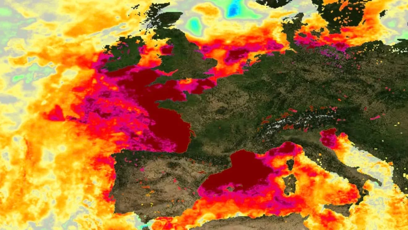 Europe’s seas are getting warmer. Its fishermen are seeing the consequences