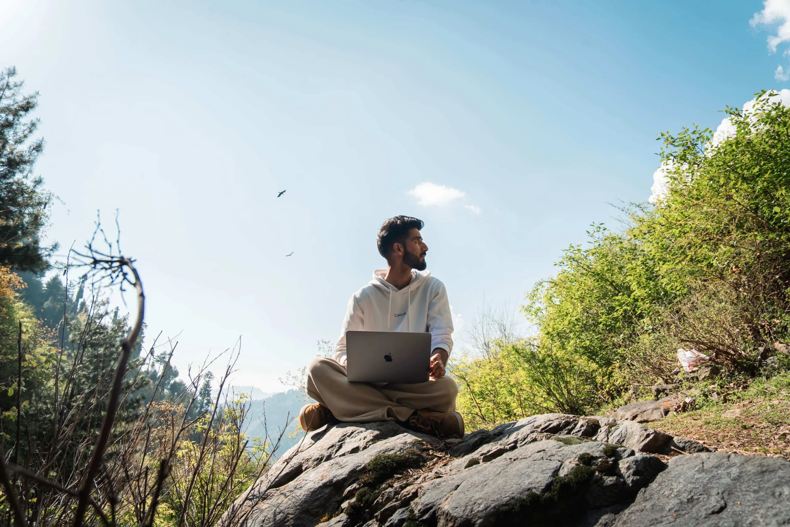Work from forest? Keralam’s SHOLA workation brings WFH to nature
