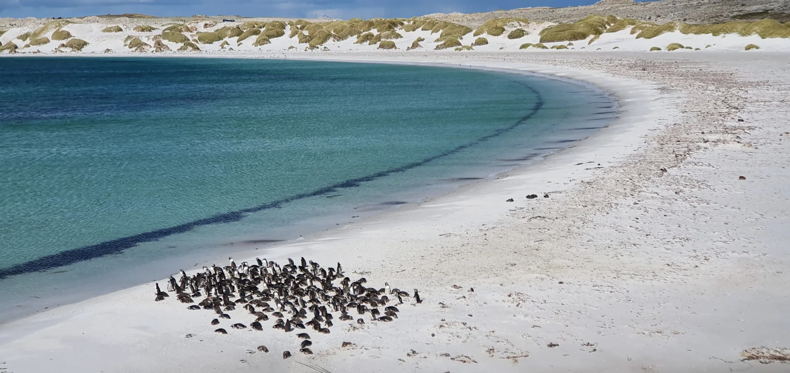This remote archipelago has 4,000 people and millions of wild neighbours
