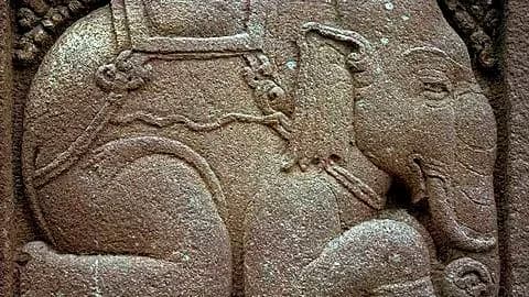 5 Indian animals steeped in mythology, folklore and tradition