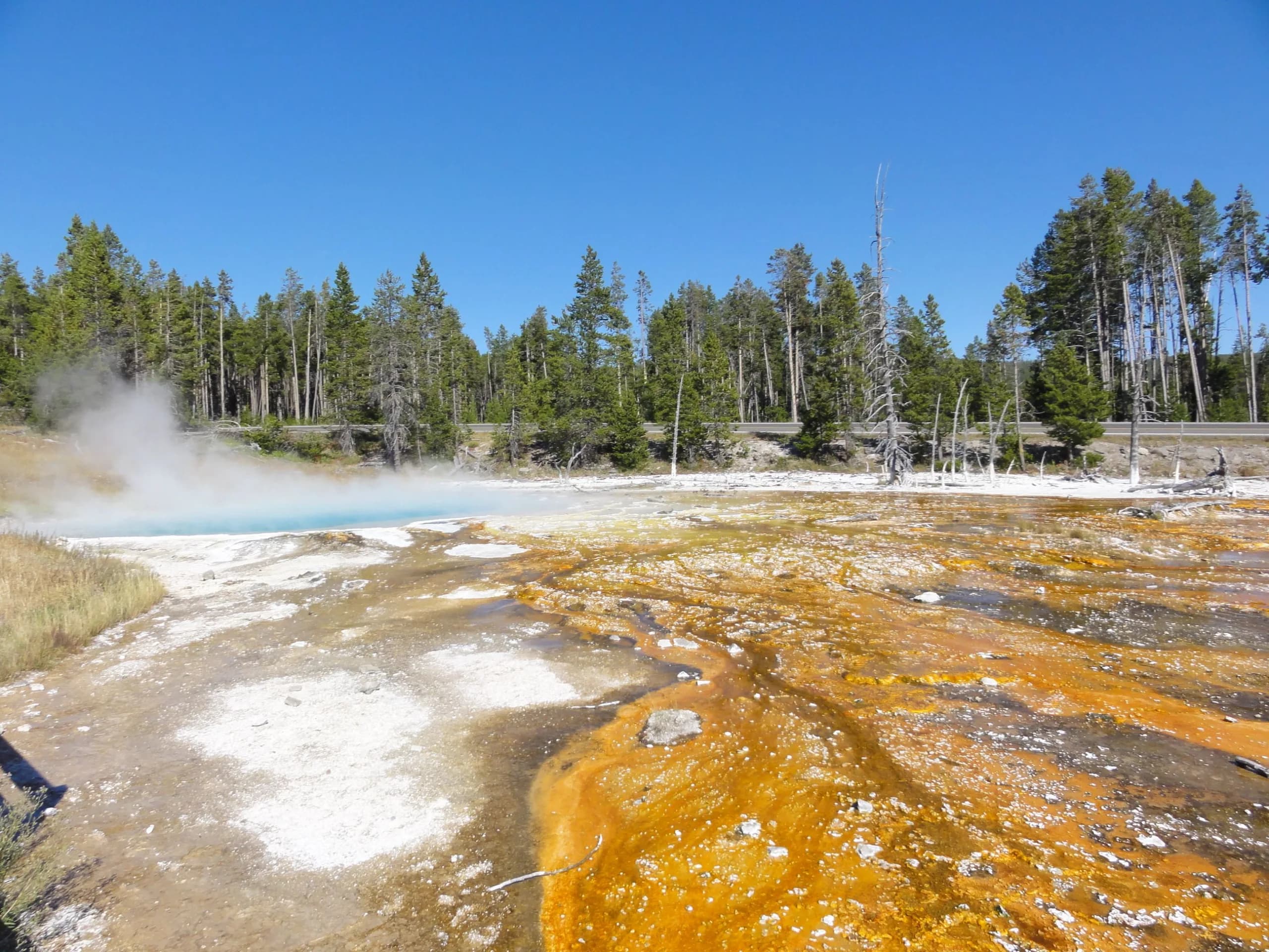 Yellowstone removes 20,000 items from hot springs: See the bizarre finds
