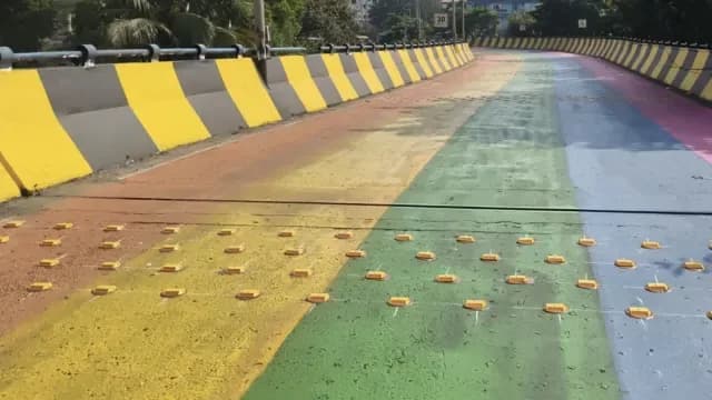 The newly painted Chingrighata flyover.